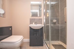 THE CONIFERS- click for photo gallery